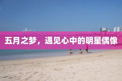 五月之夢，遇見心中的明星偶像