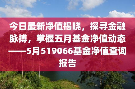 今日最新凈值揭曉，探尋金融脈搏，掌握五月基金凈值動態——5月519066基金凈值查詢報告