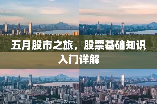 五月股市之旅,股票基礎(chǔ)知識(shí)入門詳解
