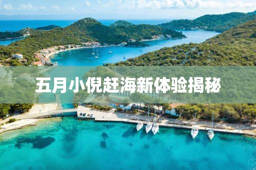 五月小倪趕海新體驗(yàn)揭秘