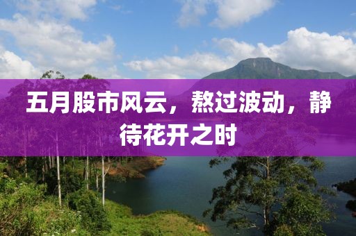 五月股市風云，熬過波動，靜待花開之時