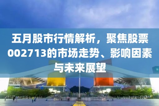 五月股市行情解析，聚焦股票002713的市場走勢、影響因素與未來展望
