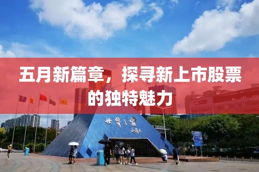 五月新篇章,探尋新上市股票的獨(dú)特魅力