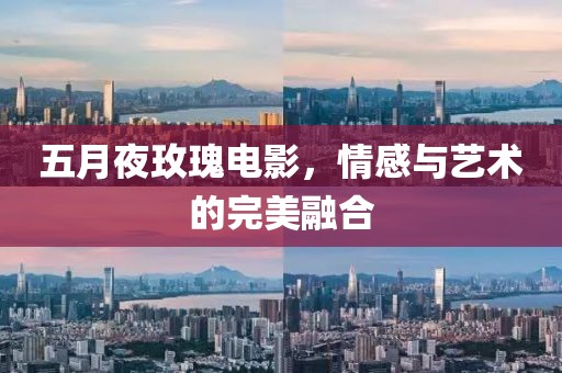 五月夜玫瑰電影，情感與藝術的完美融合