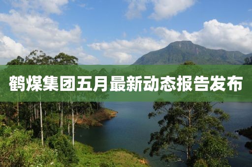 鶴煤集團五月最新動態報告發布