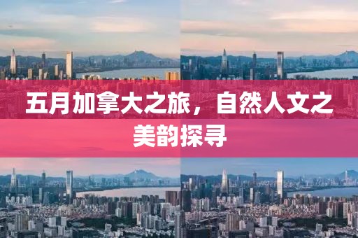 輪式挖掘機配件 第6頁