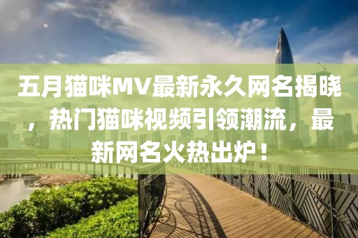 五月貓咪MV最新永久網(wǎng)名揭曉,熱門貓咪視頻引領(lǐng)潮流,最新網(wǎng)名火熱出爐!