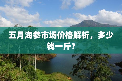 五月海參市場價格解析,多少錢一斤?