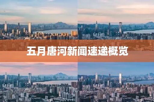 五月唐河新聞速遞概覽