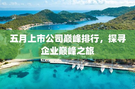 五月上市公司巔峰排行,探尋企業巔峰之旅