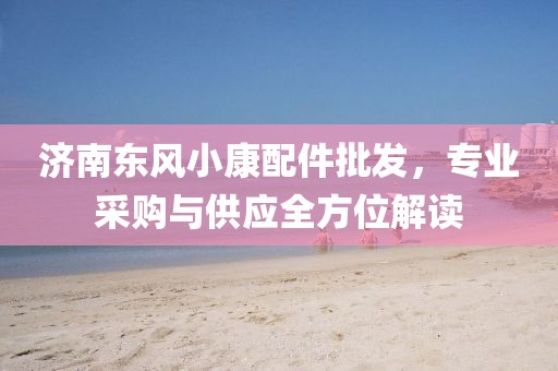 濟南東風小康配件批發,專業采購與供應全方位解讀