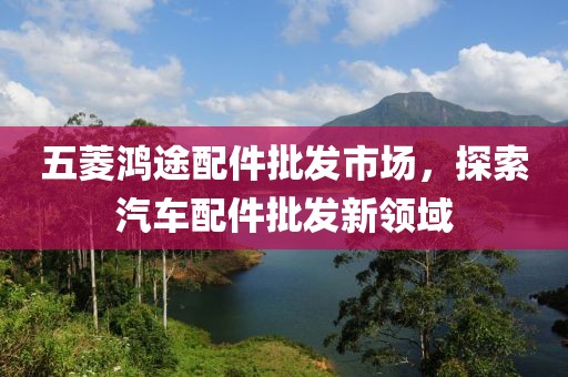 五菱鴻途配件批發市場,探索汽車配件批發新領域