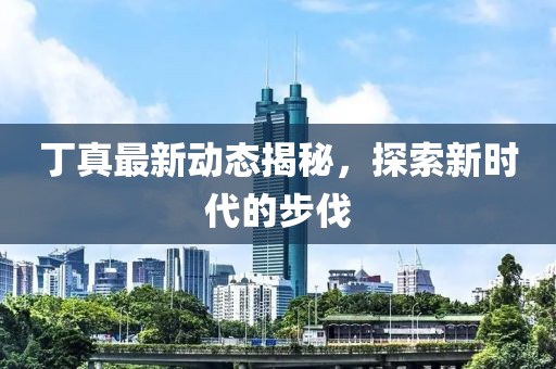 丁真最新動態揭秘,探索新時代的步伐