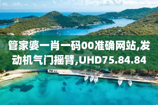 管家婆一肖一碼00準確網站,發動機氣門搖臂,UHD75.84.84