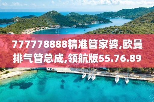 777778888精準管家婆,歐曼排氣管總成,領航版55.76.89