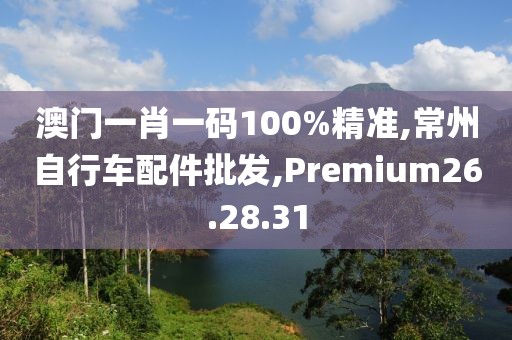 澳門一肖一碼100%精準(zhǔn),常州自行車配件批發(fā),Premium26.28.31