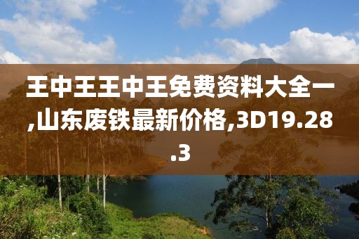 王中王王中王免費資料大全一,山東廢鐵最新價格,3D19.28.3