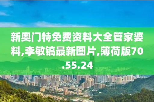 新奧門特免費資料大全管家婆料,李敏鎬最新圖片,薄荷版70.55.24