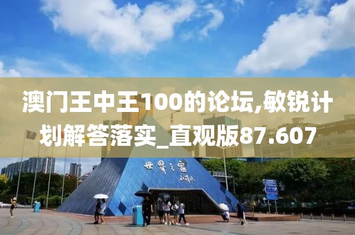 澳門王中王100的論壇,敏銳計劃解答落實_直觀版87.607