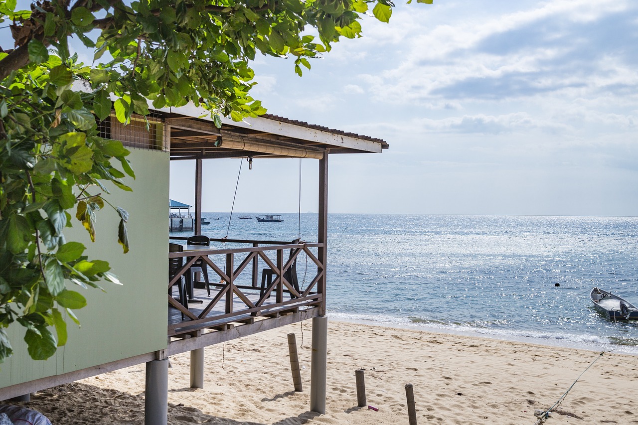 夏至，自然韻律與生命節奏的探尋