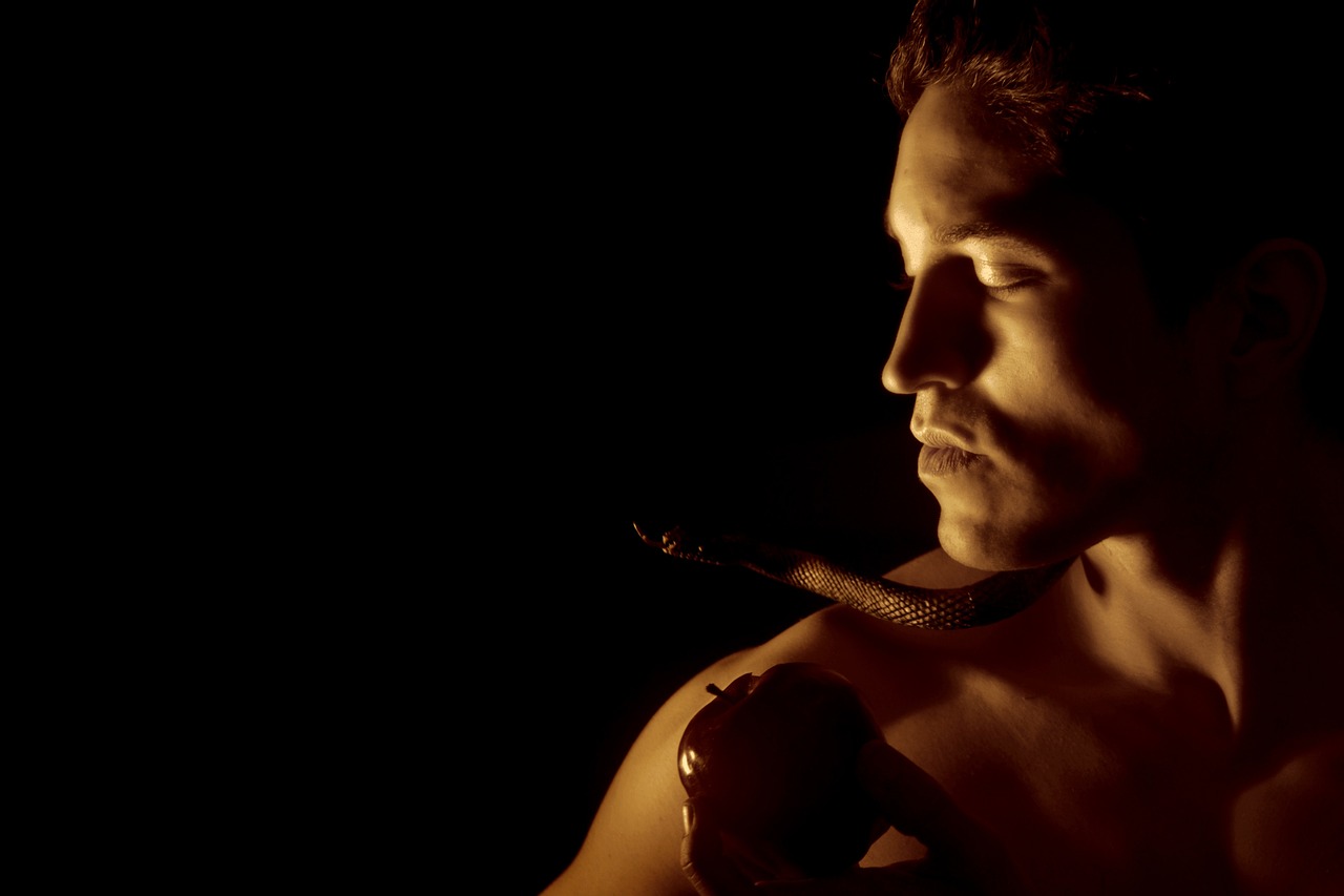 亞當,人類的起源與自我探索之路