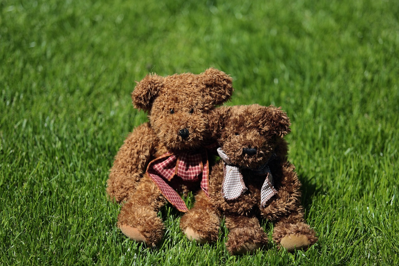 澳門精準四不像鳳凰網游戲網,牢靠解答解釋落實_尊貴款63.682