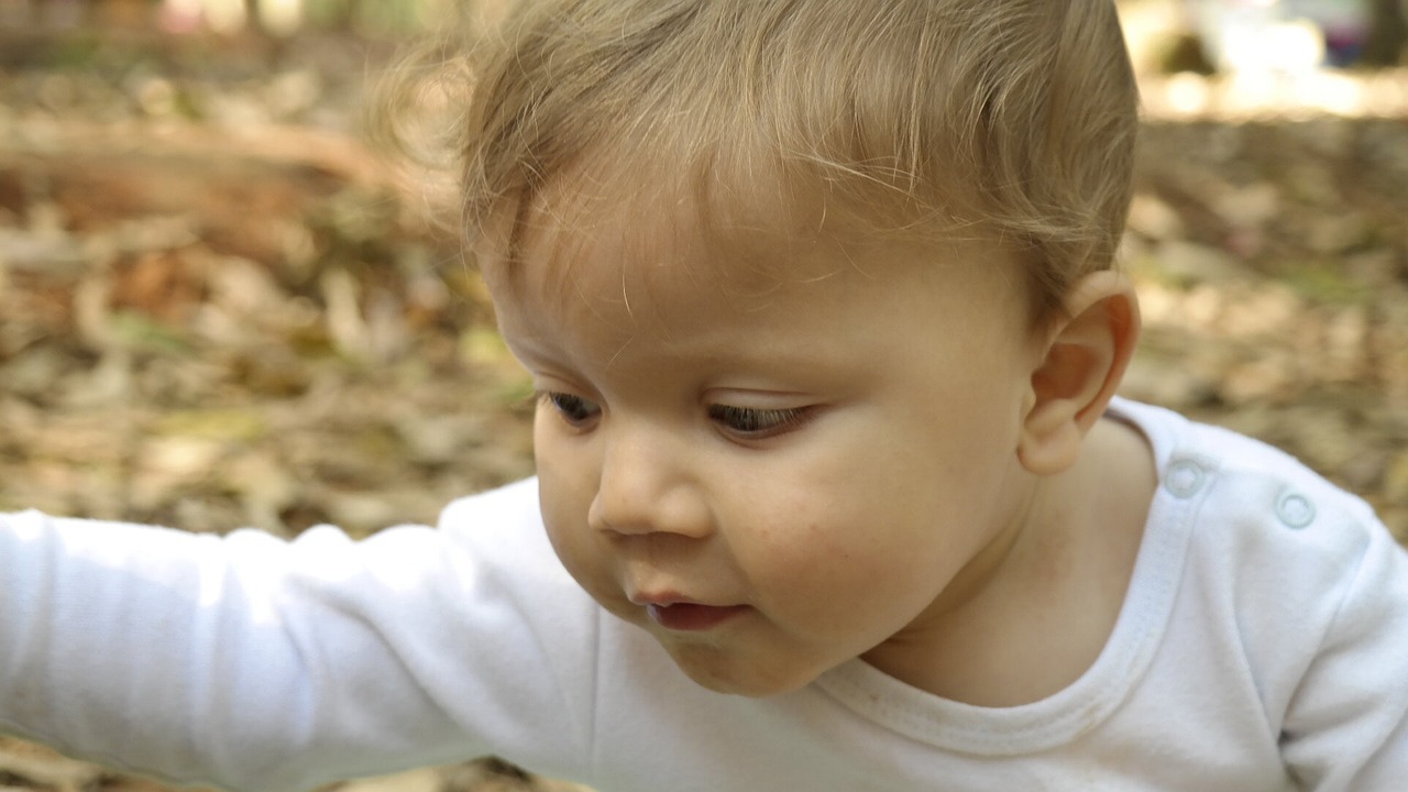 父親節,感恩與致敬的特殊時刻