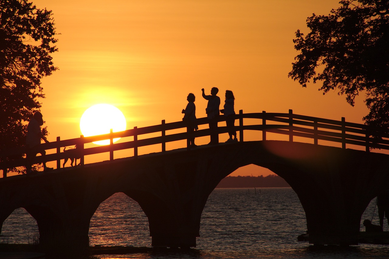 代橋濕地公園最新動態,生態修復與可持續發展的最新進展