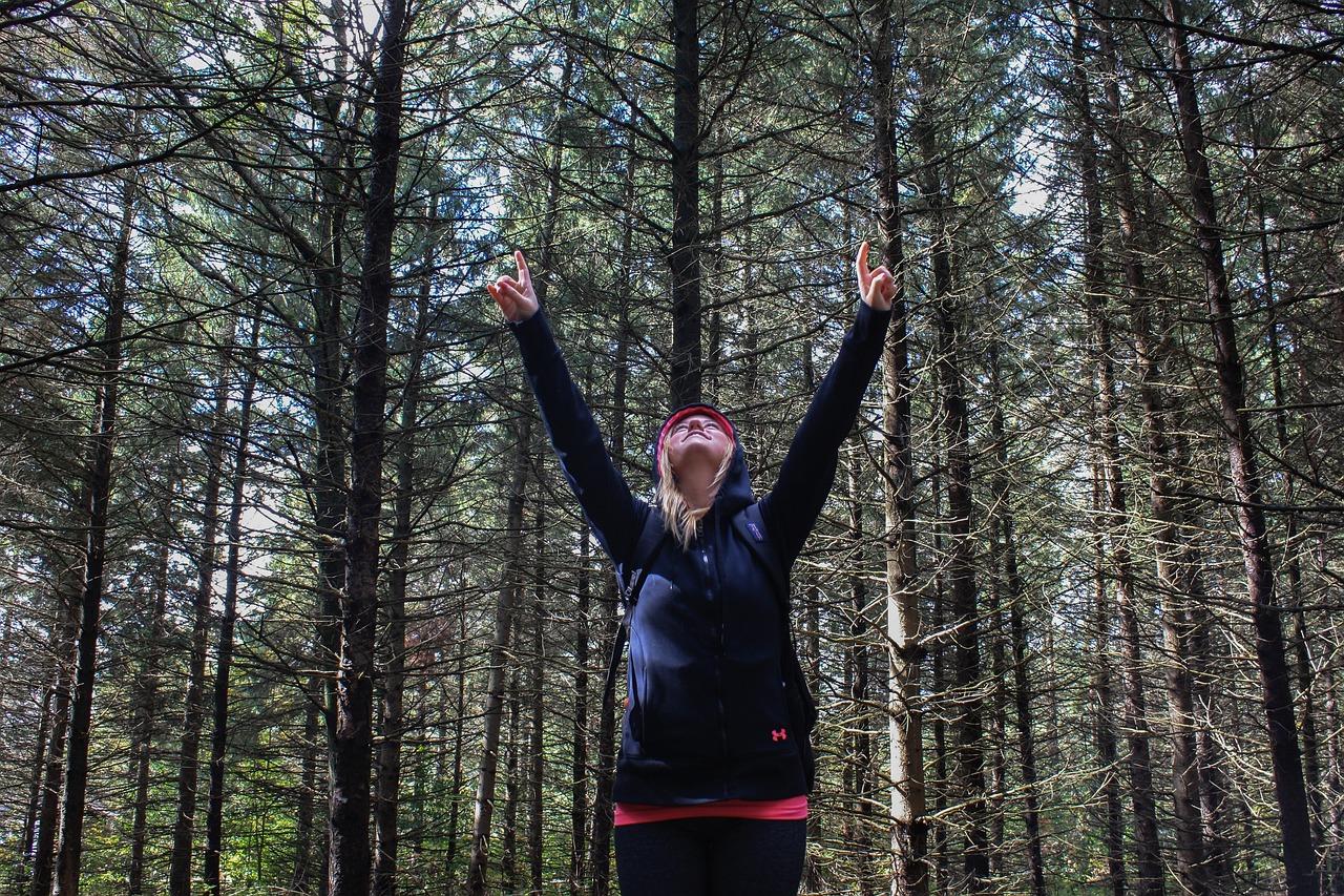 迷失森林最新版,迷失森林最新版，探索與生存的全新篇章