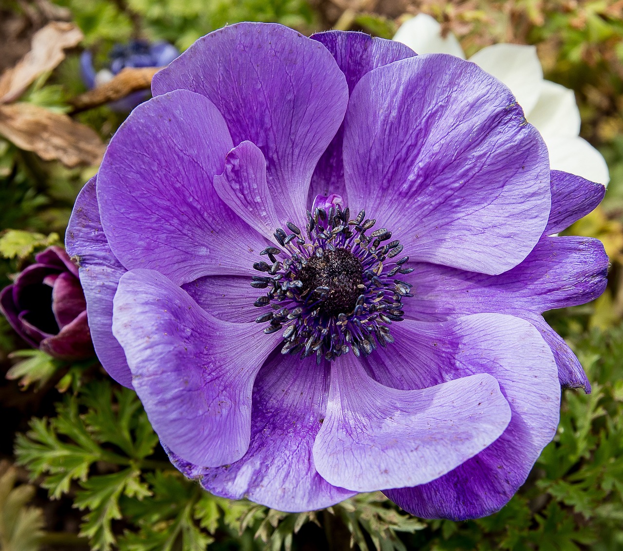 南海風(fēng)云花花世界2安卓最新版本,南海風(fēng)云花花世界2安卓最新版本游戲介紹與體驗分享