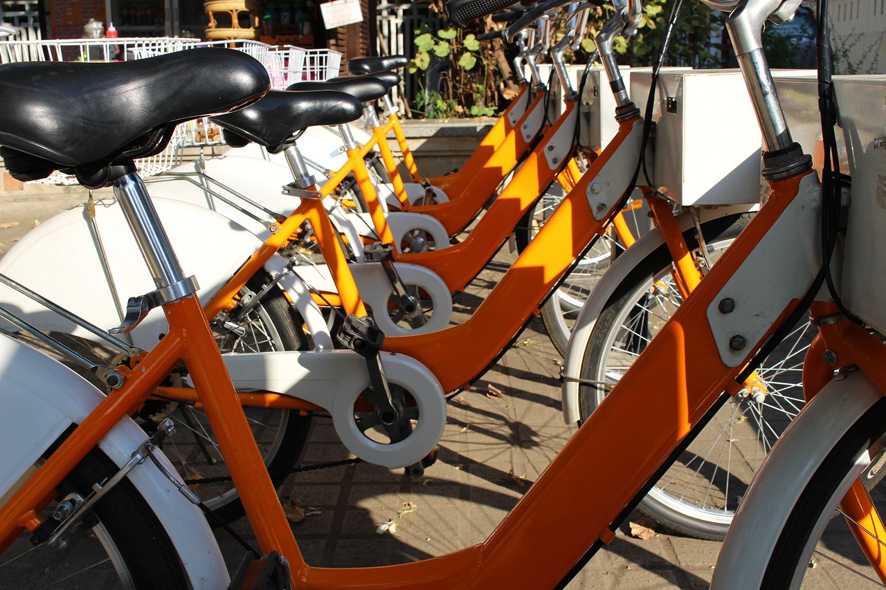 益陽招聘網最新招聘,益陽招聘網最新招聘動態