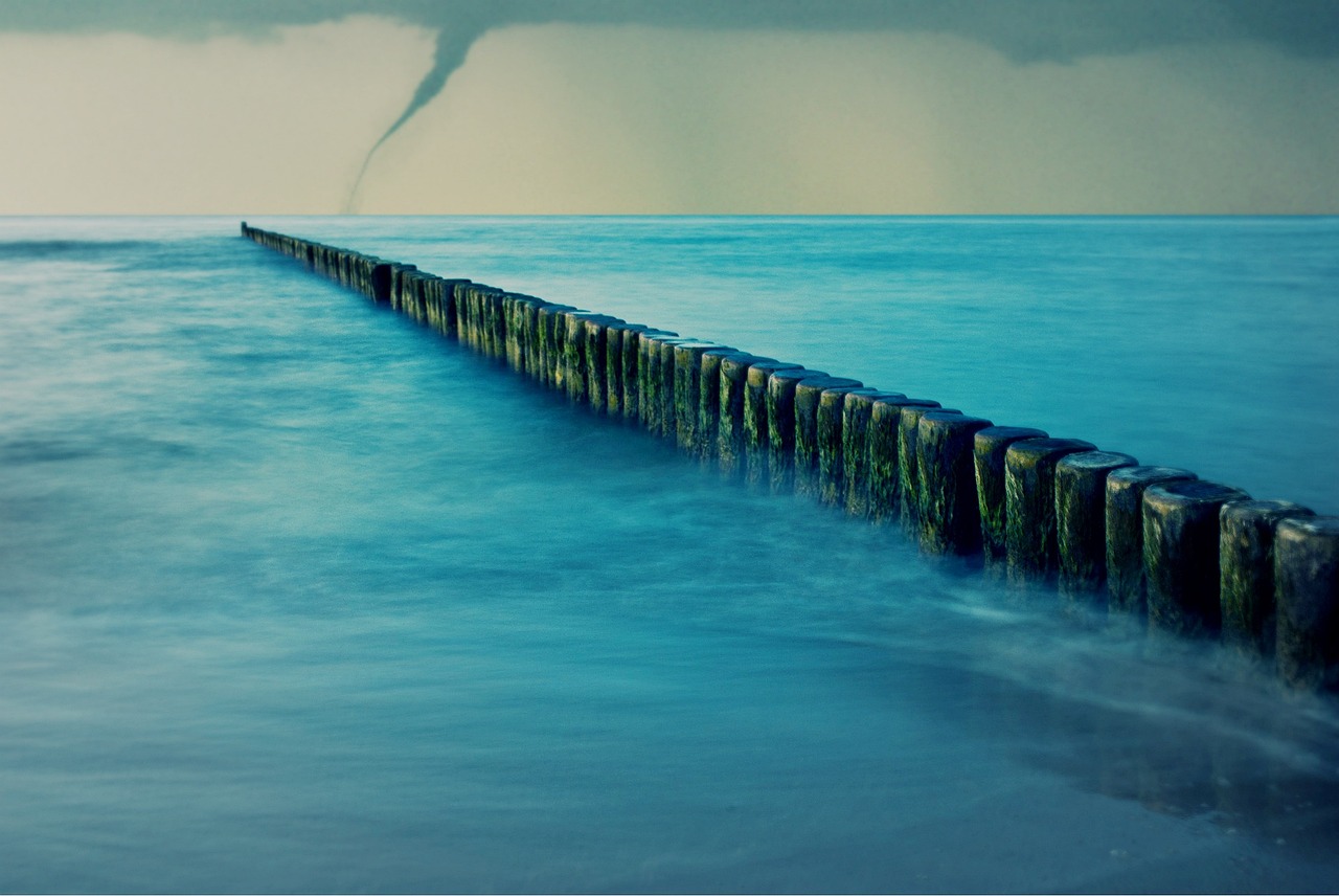 見(jiàn)字如面最新一期，探索知識(shí)的海洋