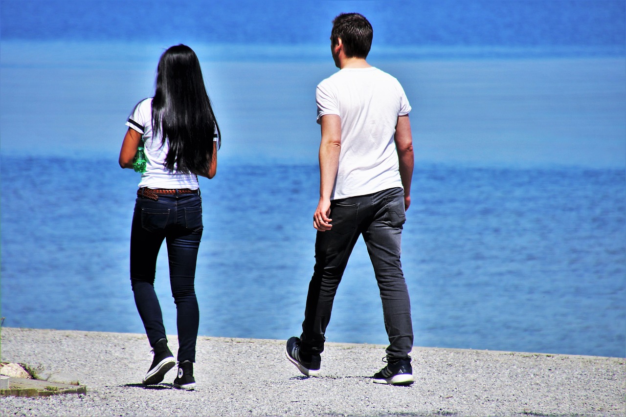 最新網劇,探索未知魅力與情感深度之旅