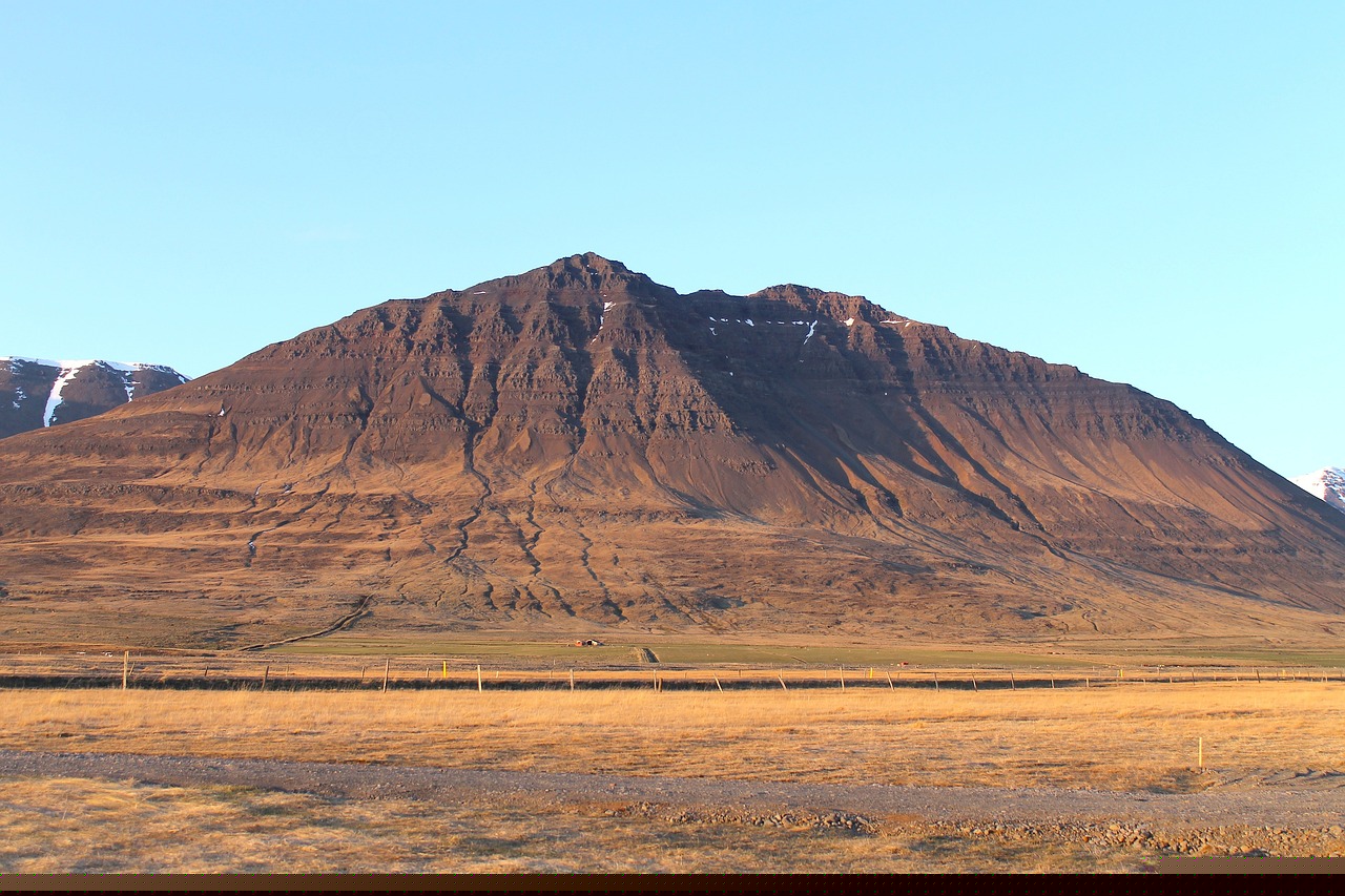 范偉最新動態與成就概覽