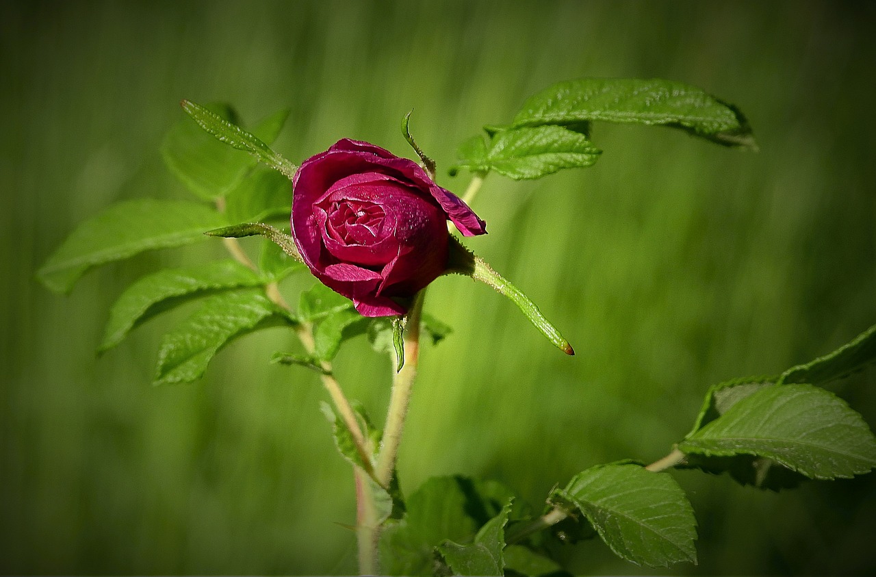 最新傷感個性簽名精選 2017