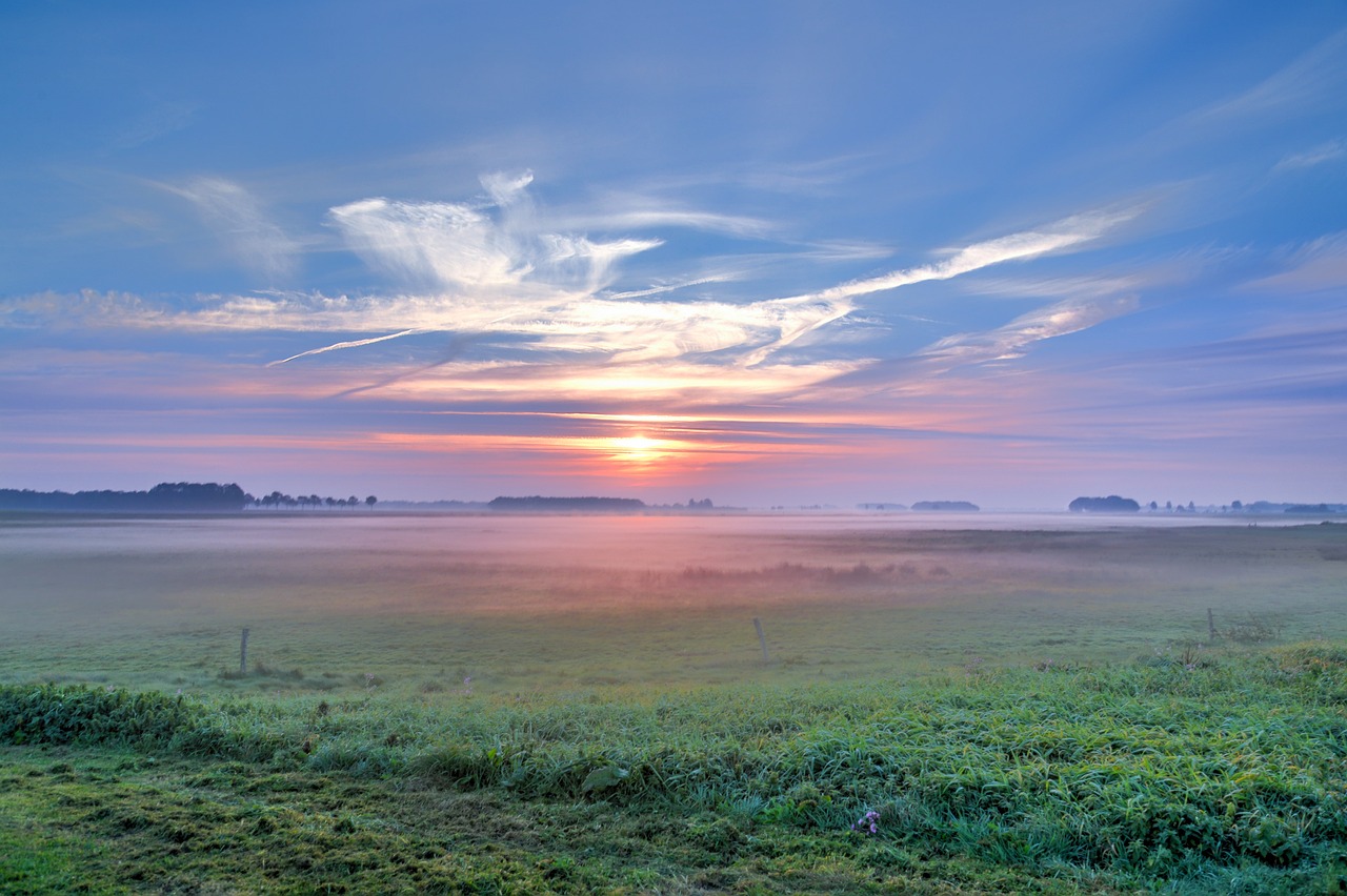 鷹潭花橋水庫最新進展更新
