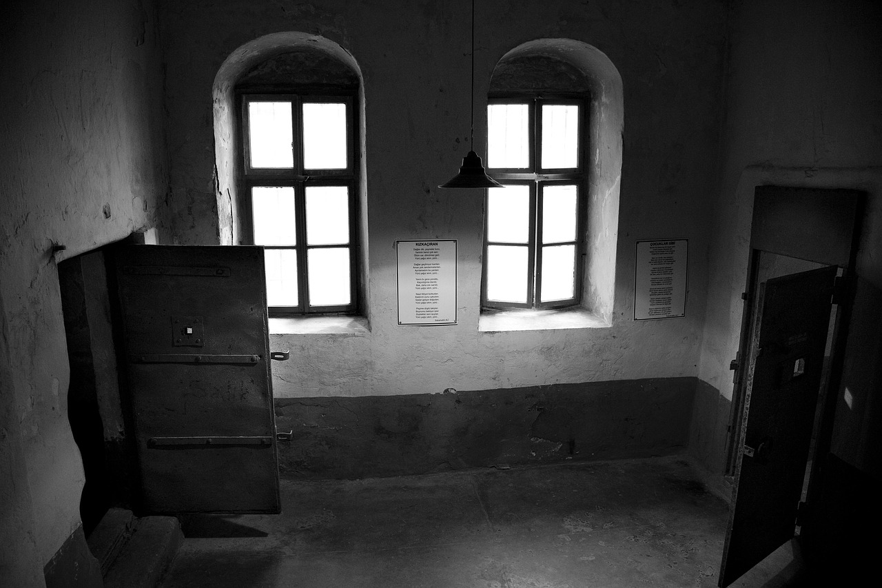 新2024年澳門天天開好彩,深圳新冠肺炎最新動(dòng)態(tài),專業(yè)款60.11.12