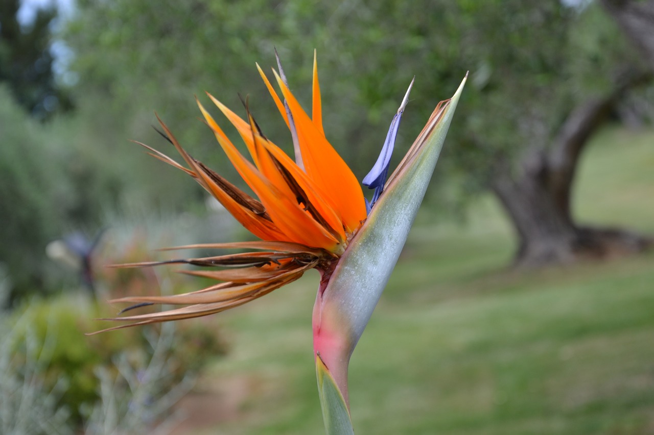 ST新都最新動態更新