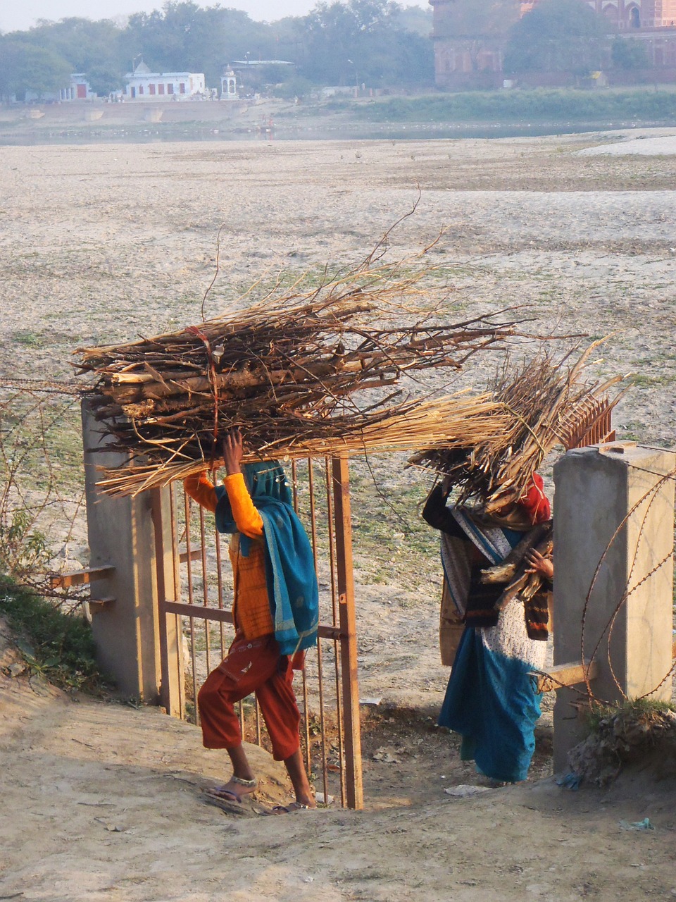 2024天天彩全年免費資料,世聯最新動態,尊享版MEA36.5.81