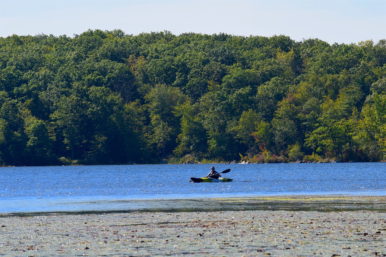 佳誠長安集最新動態揭秘,最新進展與消息匯總
