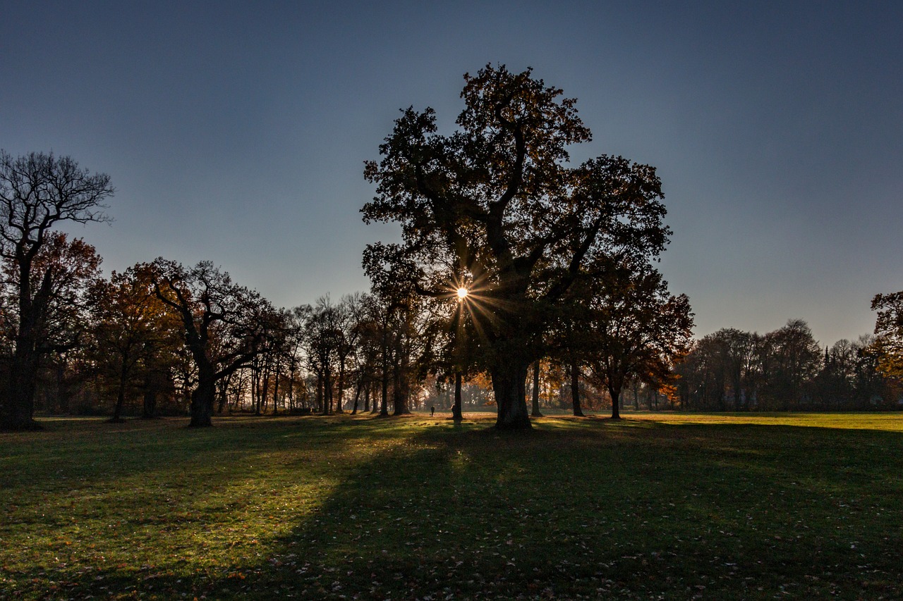 4949澳門精準免費大全2023_六鼎山風景區簡介_父母版PMZ29.81.1