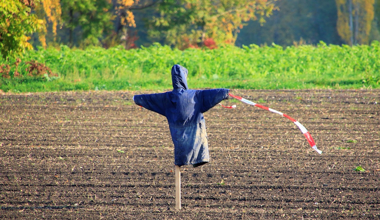 山東鑫秋農業最新公告發布,關注最新動態與資訊