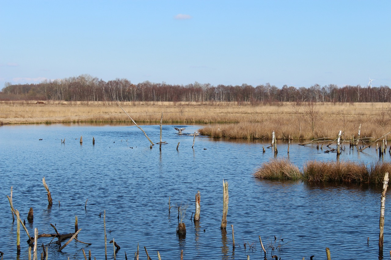阜陽潁泉區(qū)未來五年發(fā)展規(guī)劃概覽