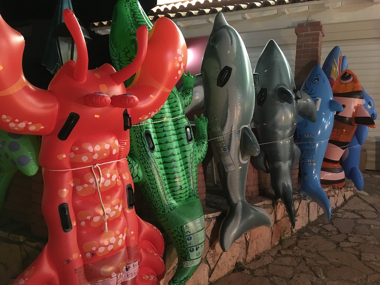 最新小伶玩具個人視頻,探索與樂趣的無限延伸之旅