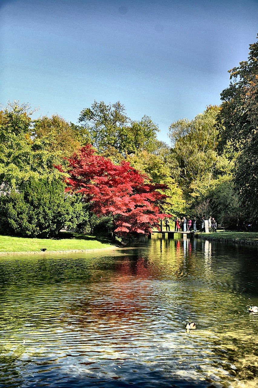 上海寶山區(qū)最新消息概覽,最新動(dòng)態(tài)與發(fā)展概述