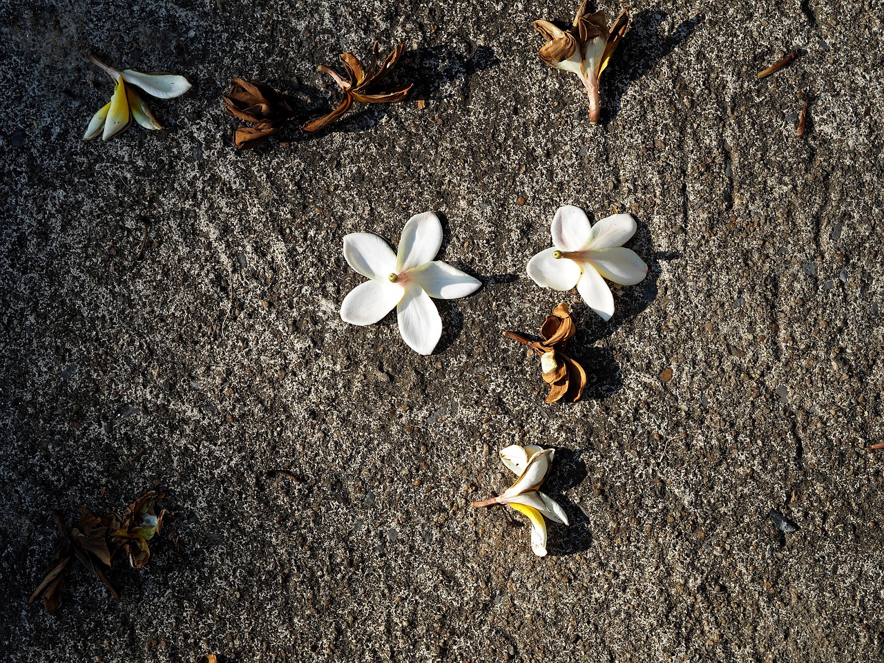 麴佑運(yùn) 第5頁(yè)