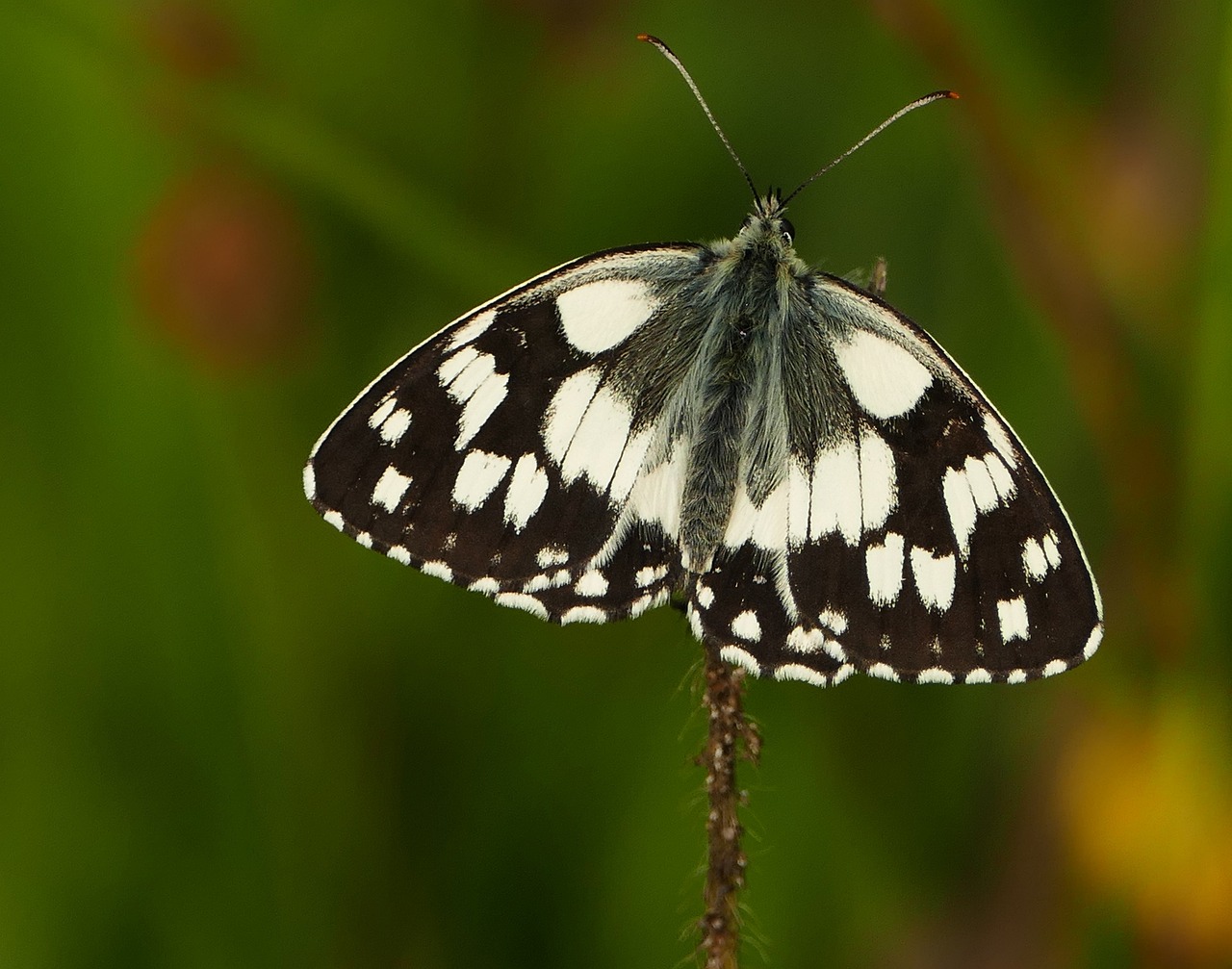韓城二手房最新信息概覽,最新房源、價格及交易動態一網打盡
