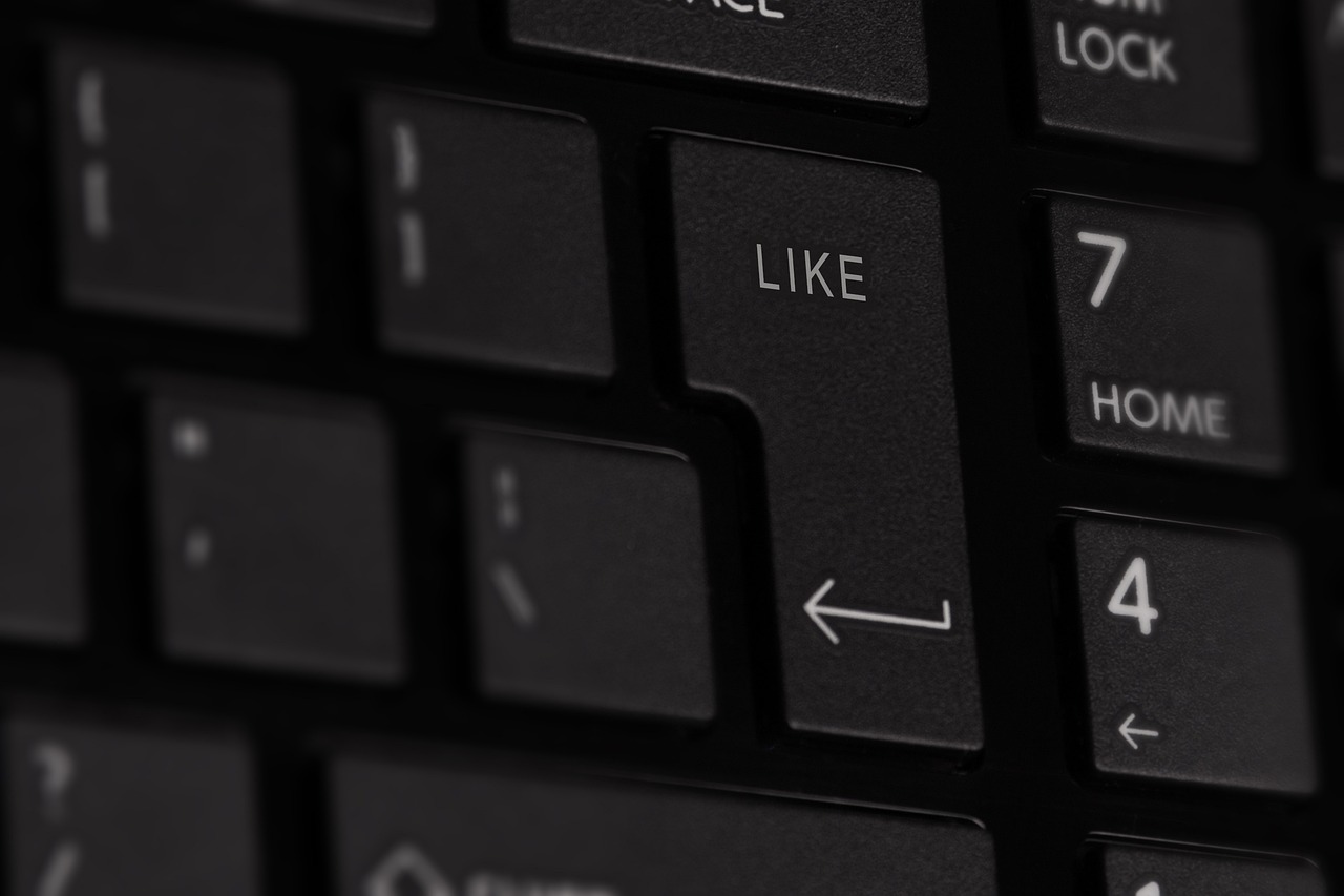 新澳精準資料免費提供網,實證分析中的細明數據探索與應用