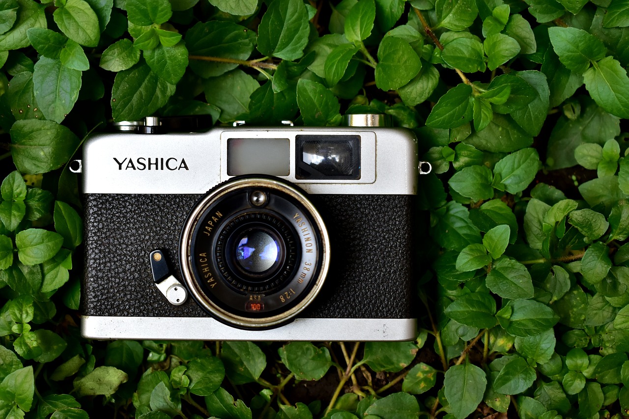 廣東陸豐鄭佳的最新動態更新