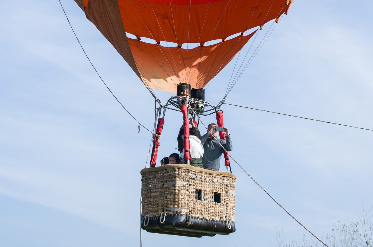 敢問路在何方最新動(dòng)態(tài)